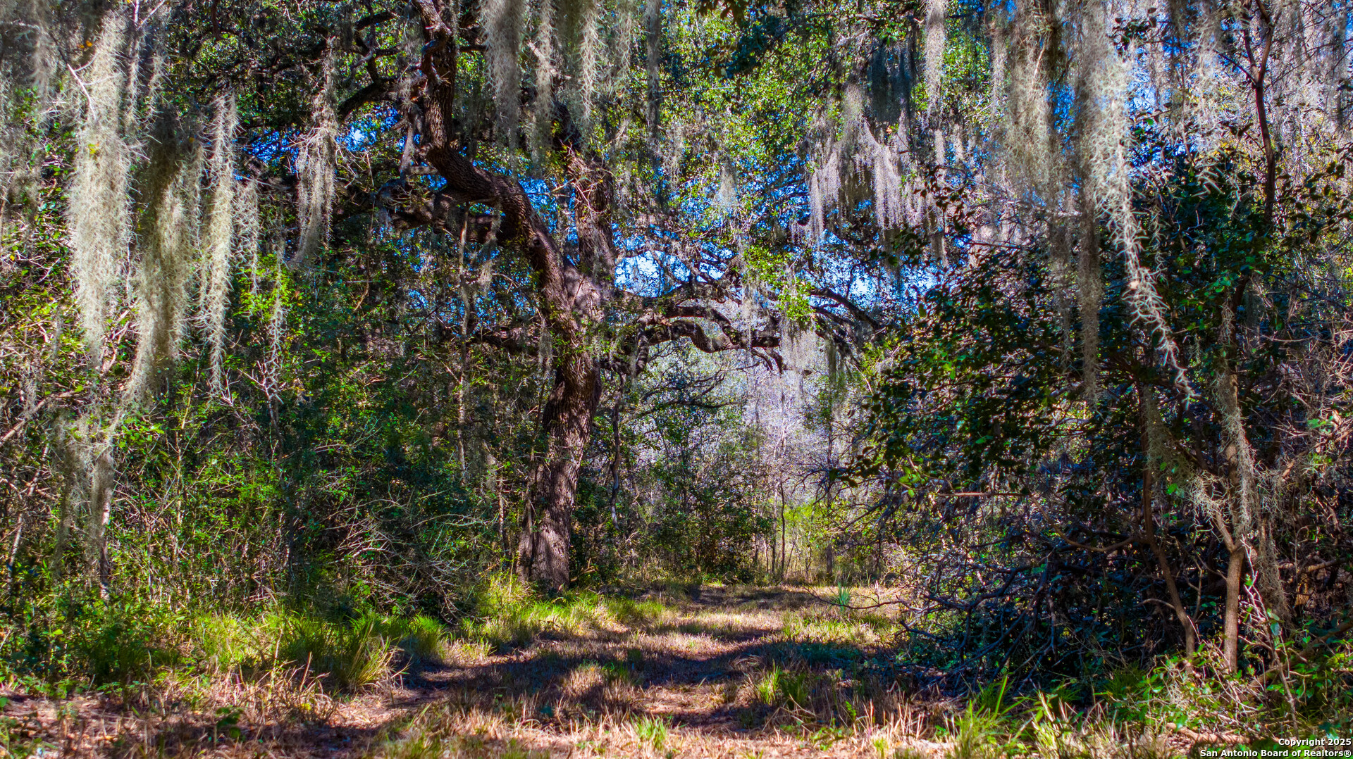 0 Private Road 4010 Beeville, TX 78102 - Photo 6 of 17