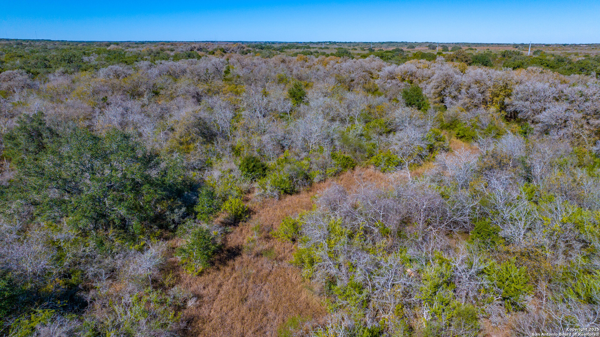0 Private Road 4010 Beeville, TX 78102 - Photo 9 of 17