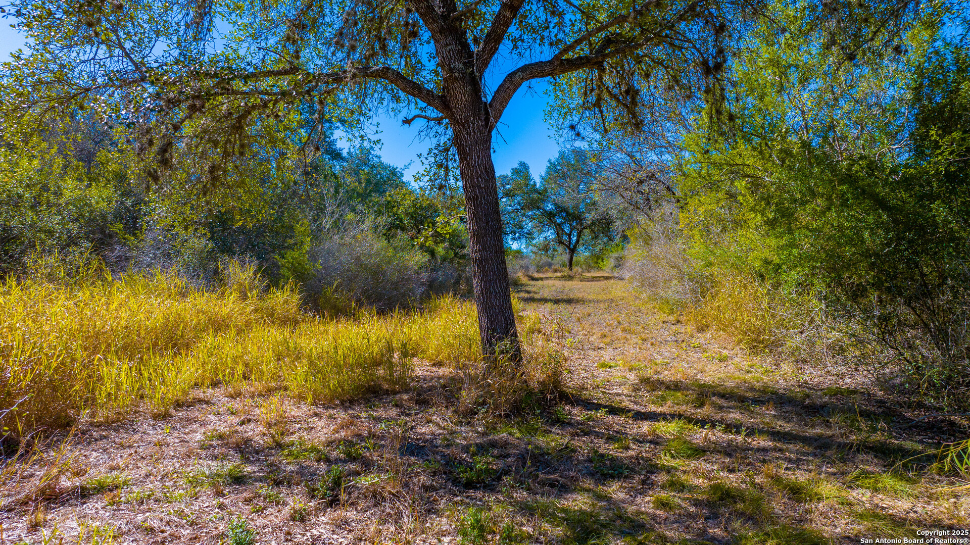 0 Private Road 4010 Beeville, TX 78102 - Photo 10 of 17