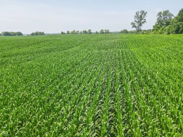 $420,000 | 8419 9 South 800 West, Modoc, IN 47358