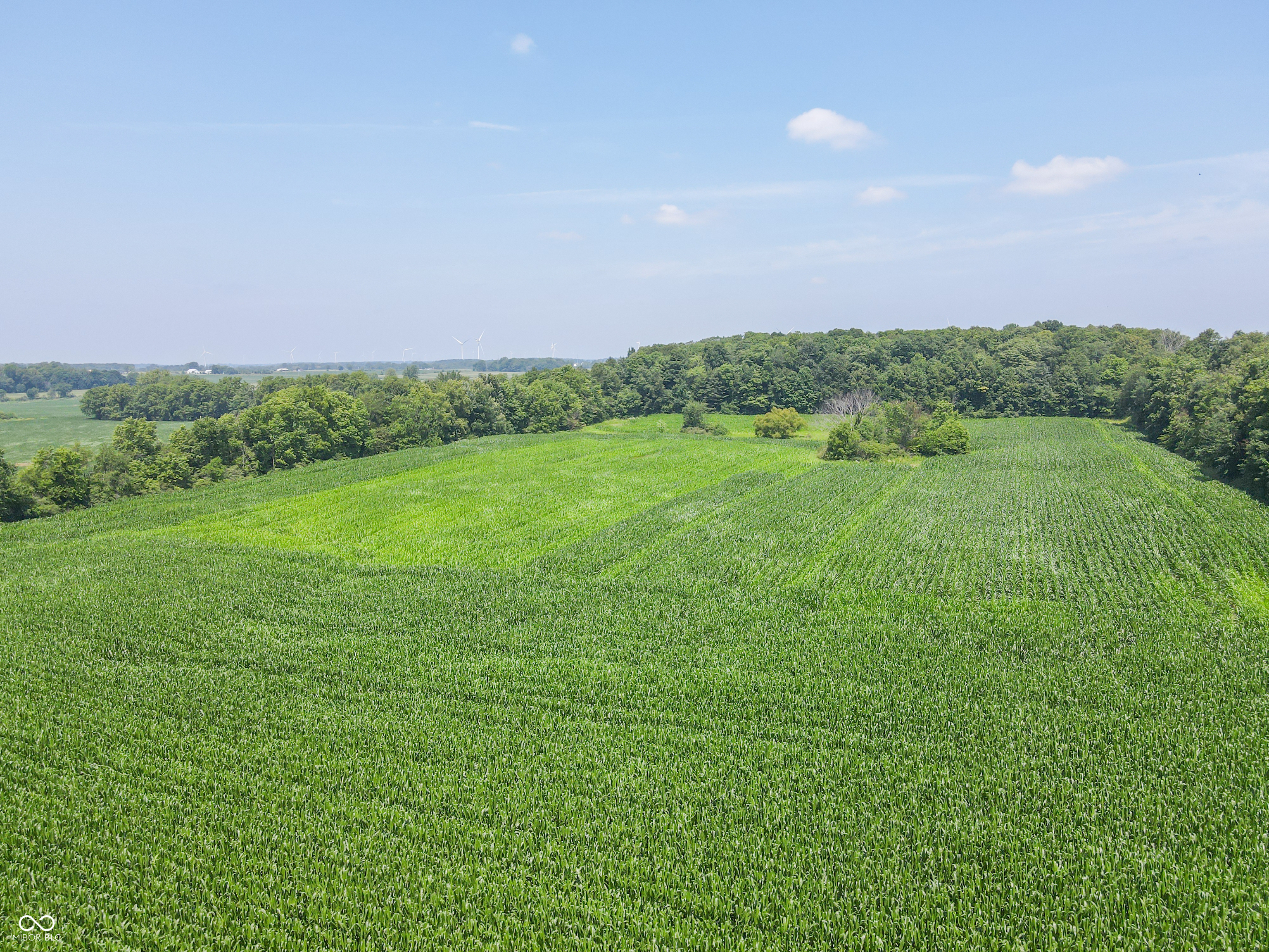 8419 9 South 800 West Modoc, IN 47358 - Photo 8 of 25