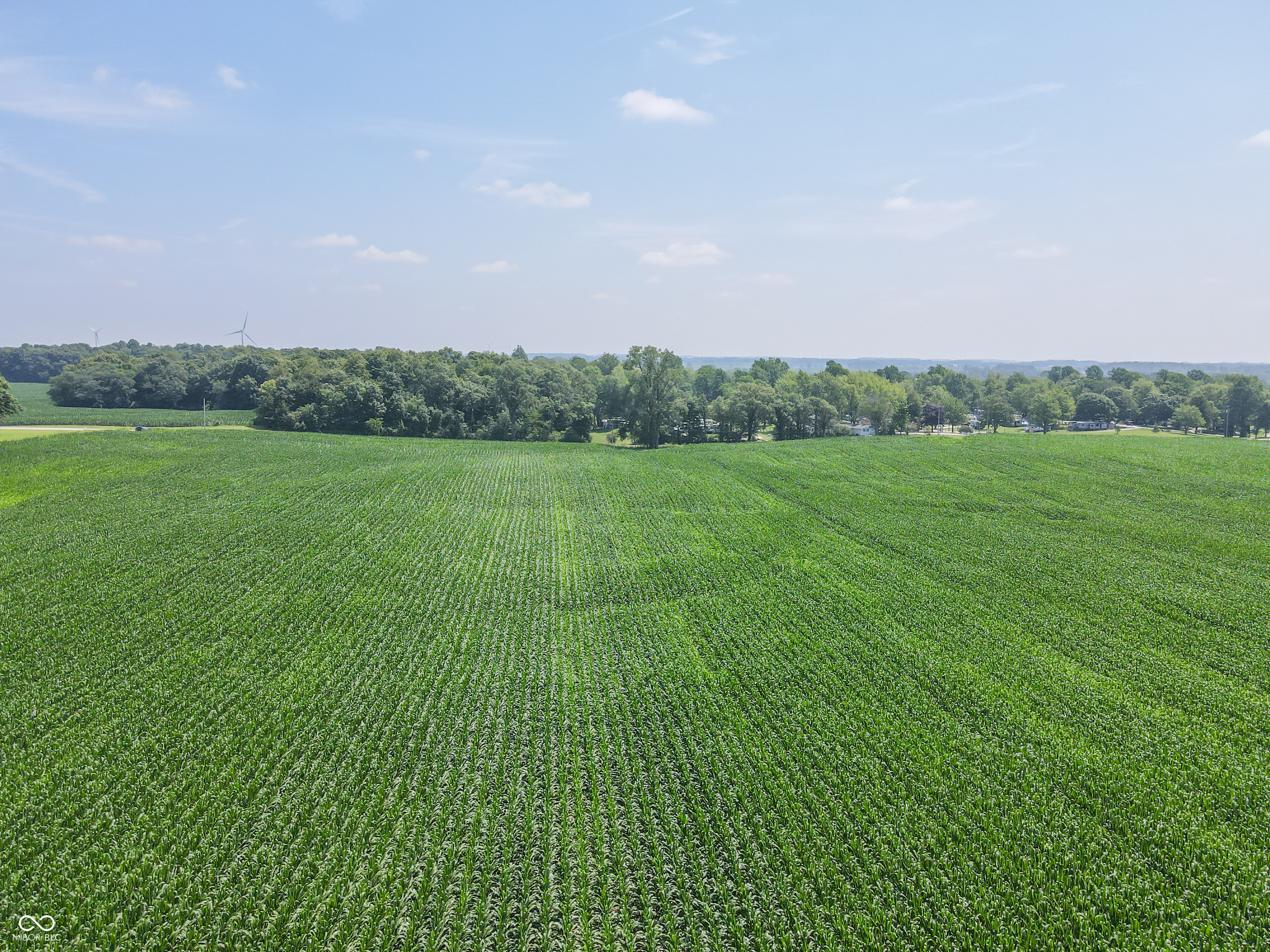 8419 9 South 800 West Modoc, IN 47358 - Photo 9 of 25
