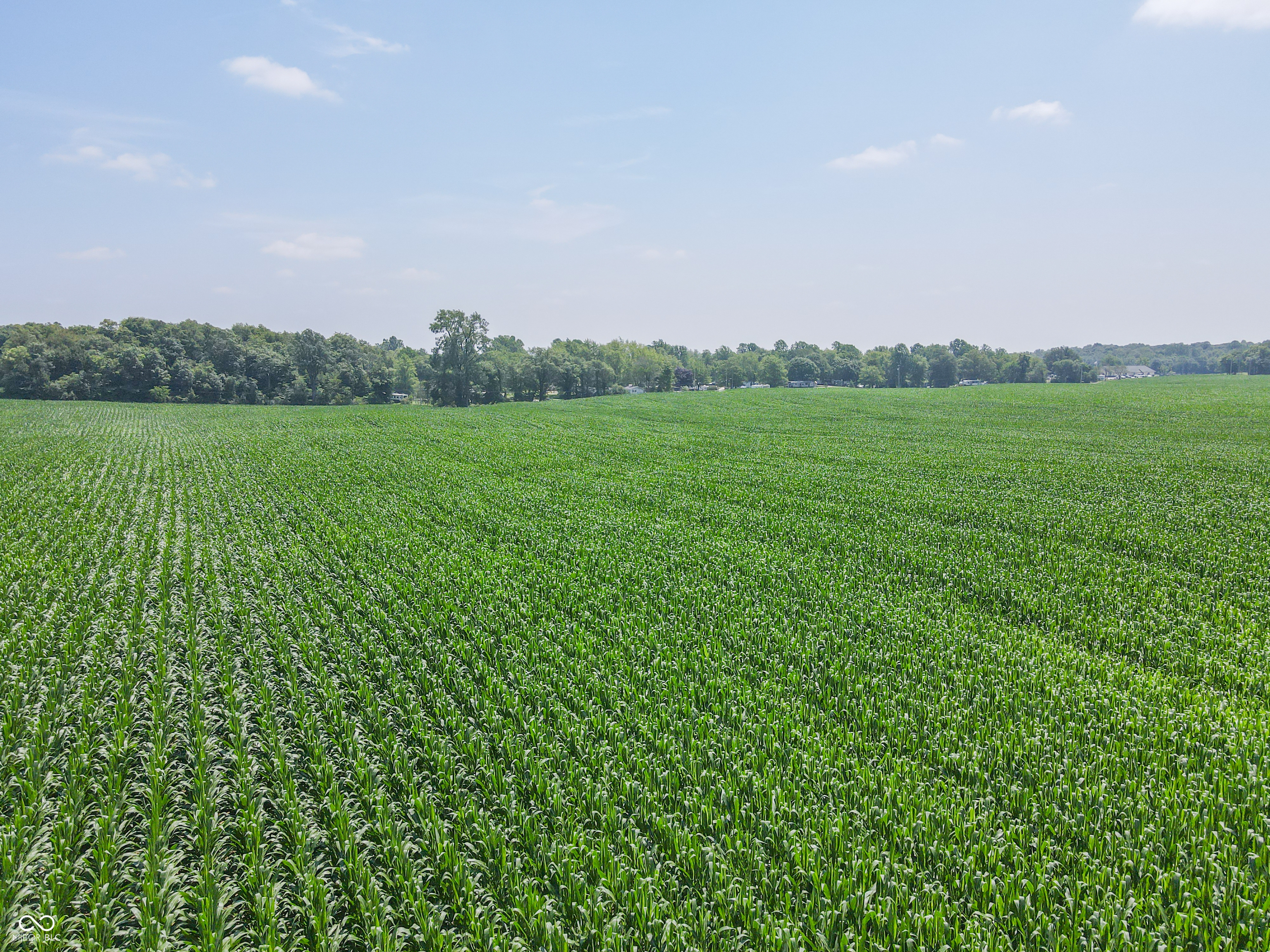 8419 9 South 800 West Modoc, IN 47358 - Photo 10 of 25