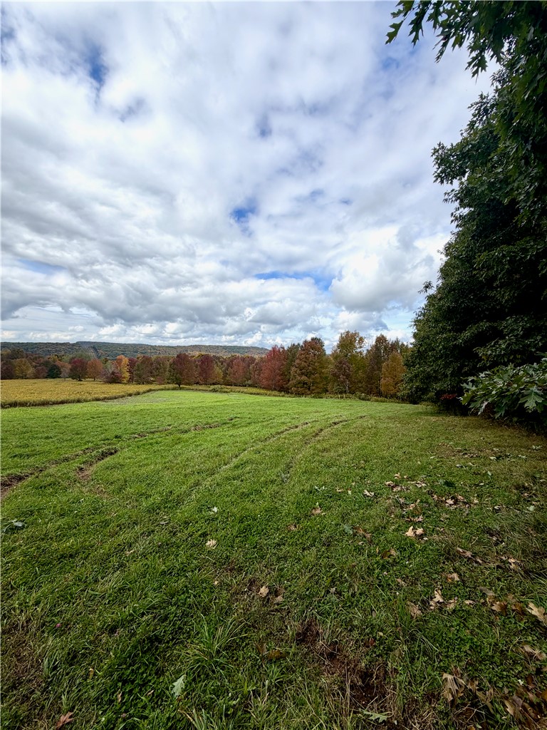 Gallop Hill Road Walton, NY 13856 - Photo 45 of 48 Land on top