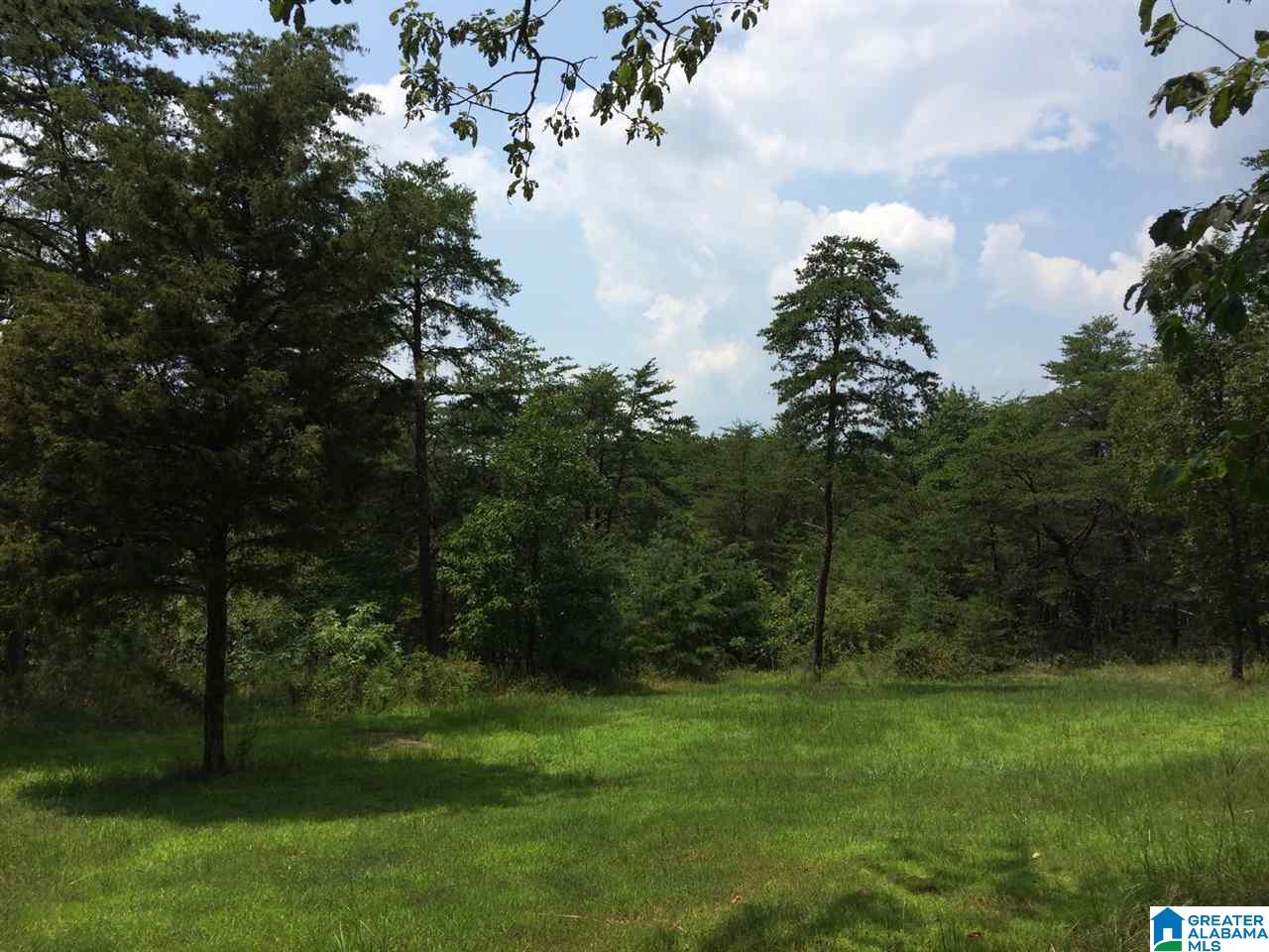 720 Mountain Ridge Road Oneonta, AL 35121 - Photo 3 of 47