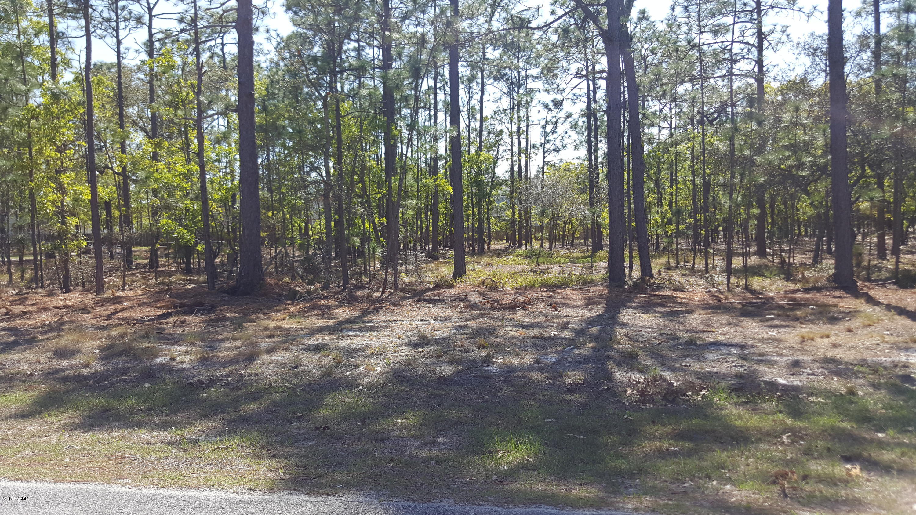 Lot 53 Springdale Road Southport, NC 28461 - Photo 1 of 3 Lot 53