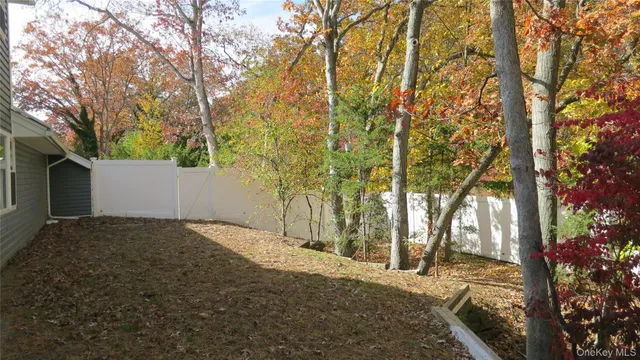 a view of backyard and tree