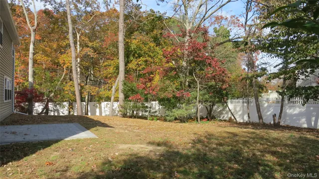 a view of a yard with plants and trees