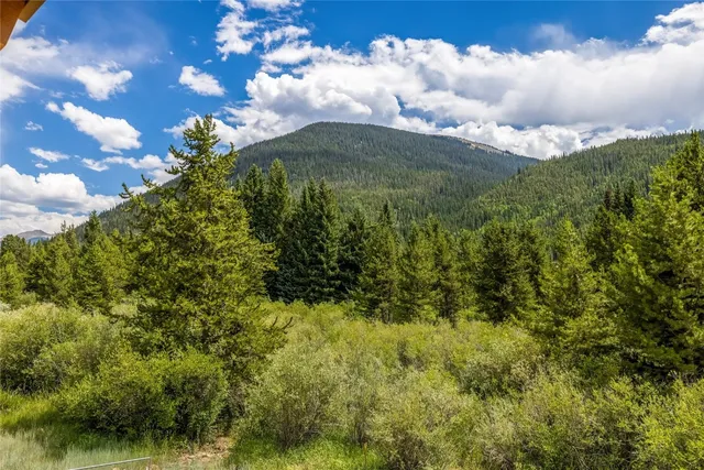 a view of a bunch of trees