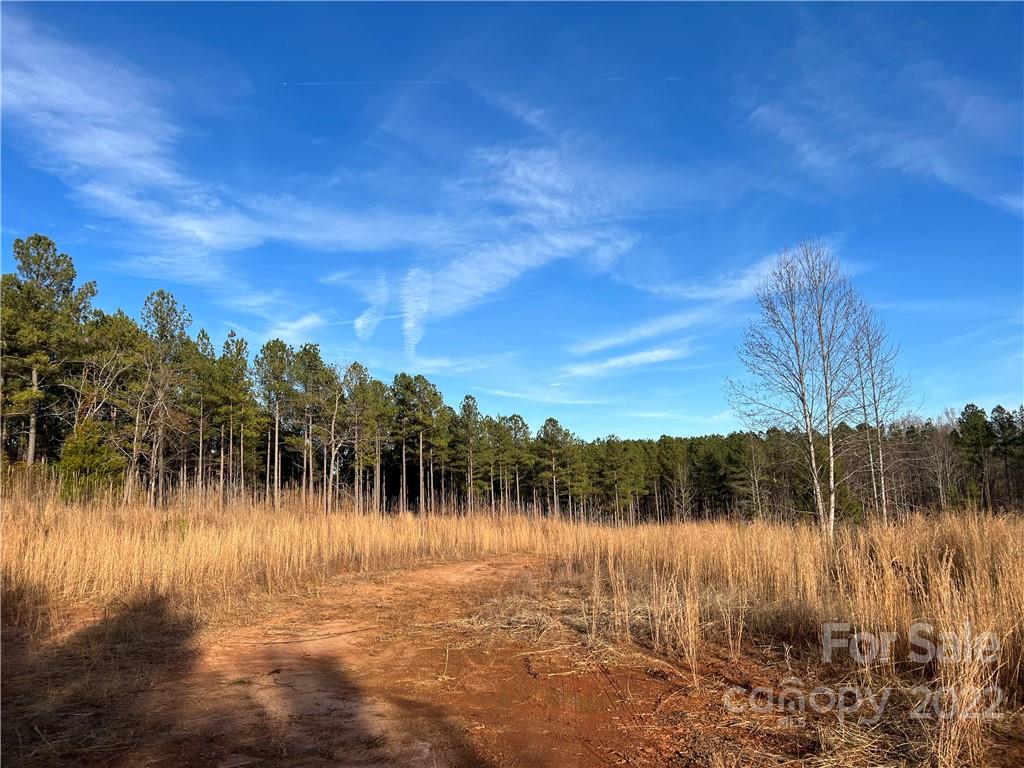 1015 Lyles Pond Road Rutherfordton, NC 28139 - Photo 35 of 35 a view of lake with green space
