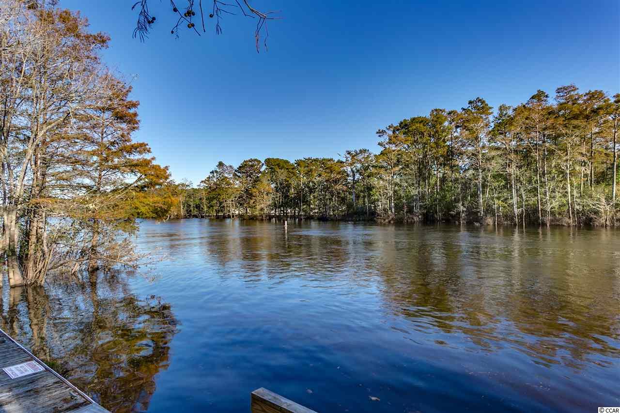 6022 Dick Pond Road, Unit 203 Myrtle Beach, SC 29588 - Photo 22 of 22 Gallery Image 22