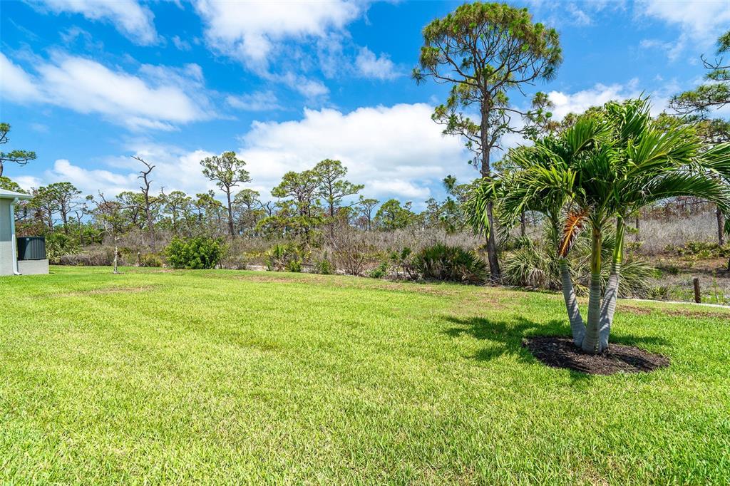8952 Scallop Way Placida, FL 33946 - Photo 25 of 52 a view of a garden with a tree
