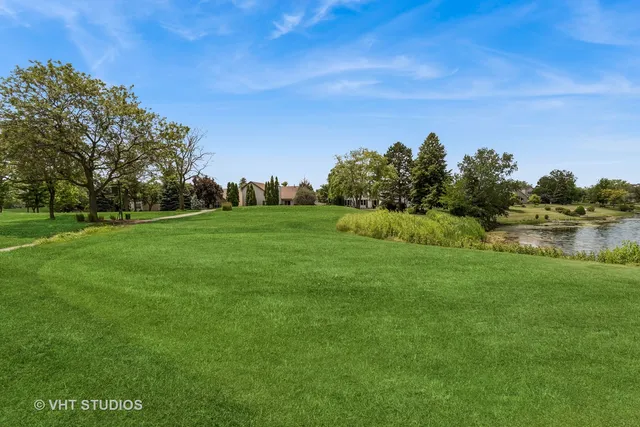 a view of a grassy field with trees
