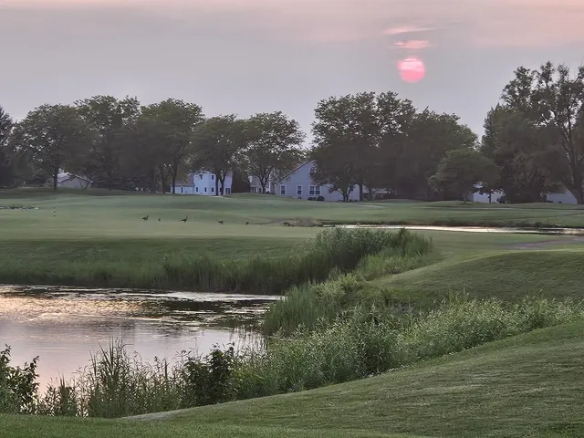 a patio with table and chairs and a barbeque