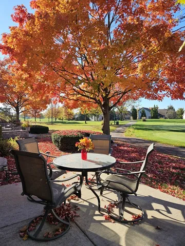 a view of a yard with a house and a tree