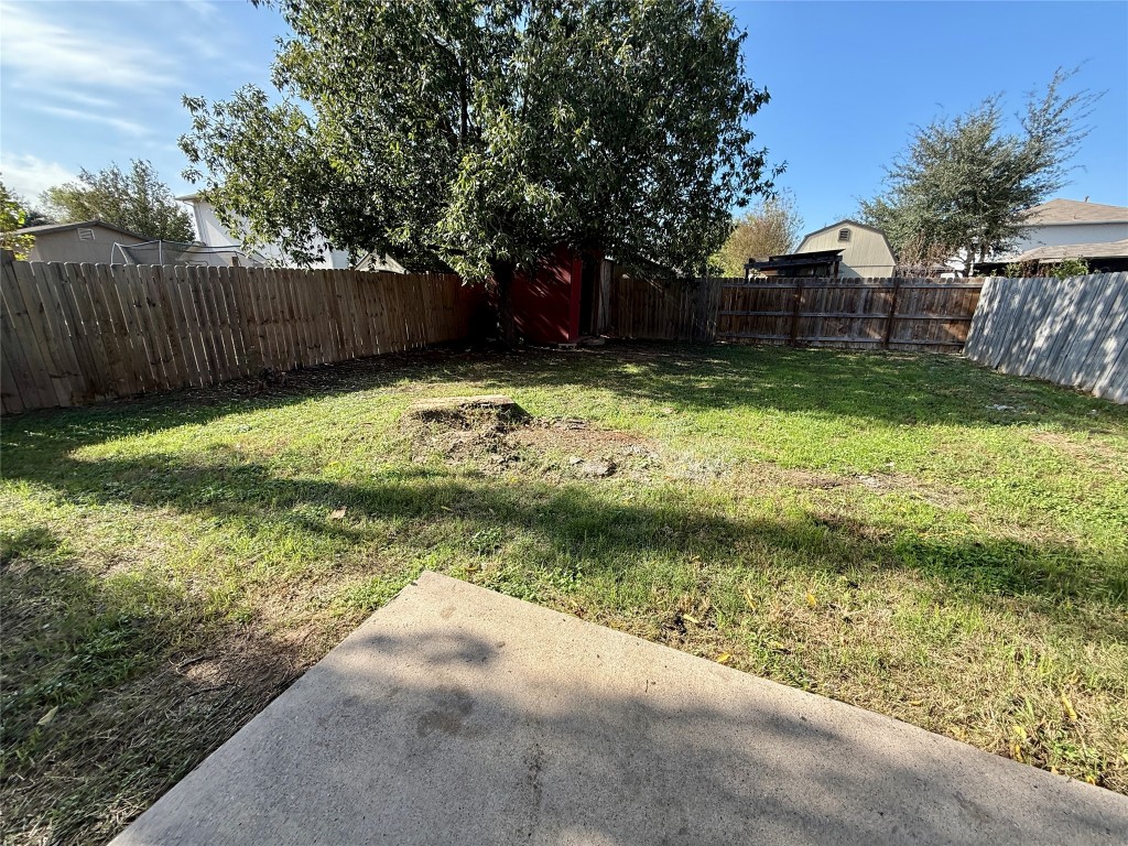 17212 Hamilton Point Circle Manor, TX 78653 - Photo 20 of 27 a view of a yard with large trees