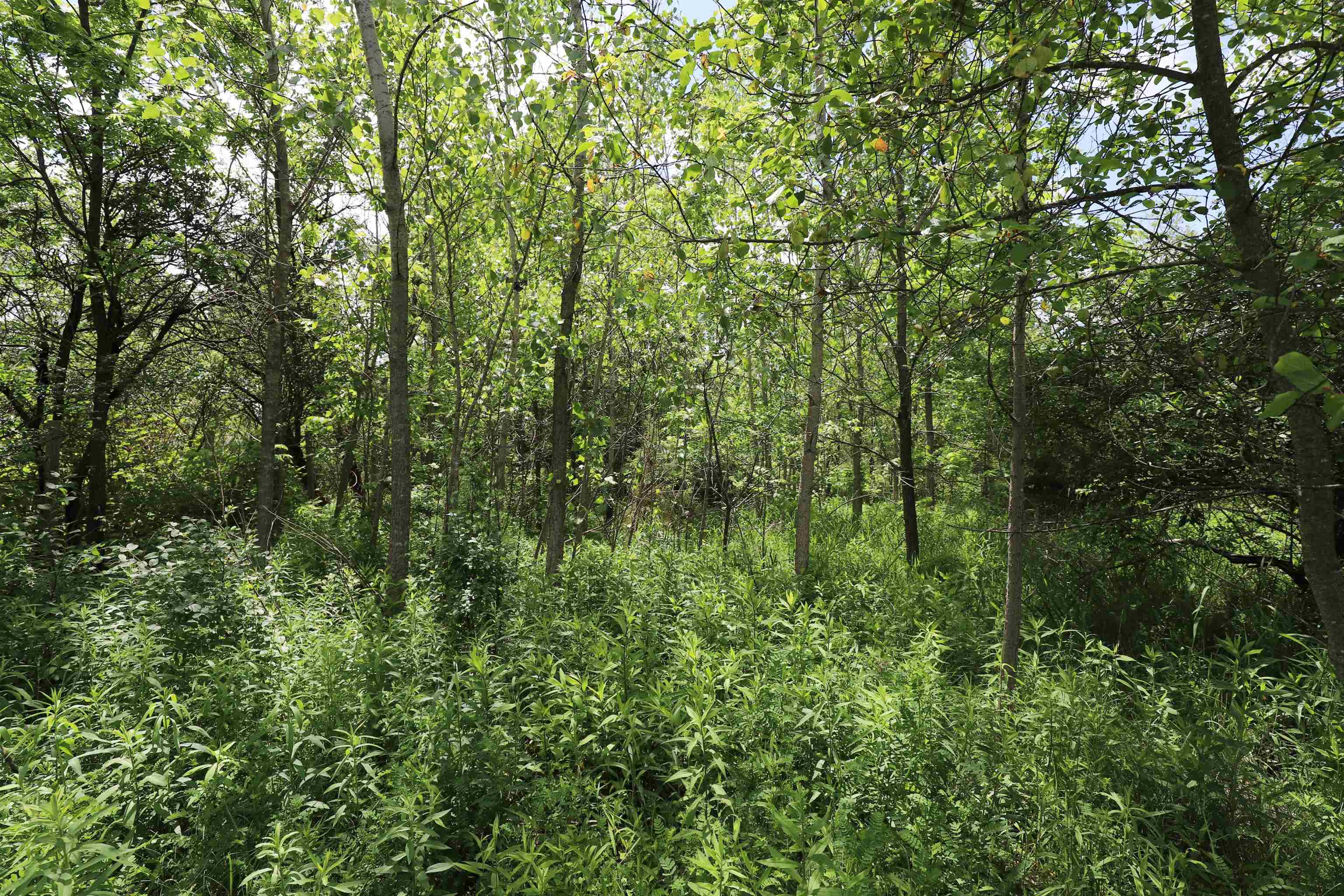 Potter Road Flushing, MI 48433 - Photo 5 of 6