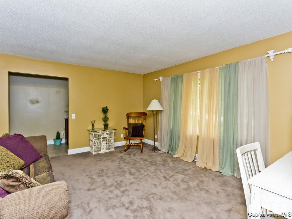 70 Axline Road Chatham, IL 62629 - Photo 17 of 33 Gallery Image 17