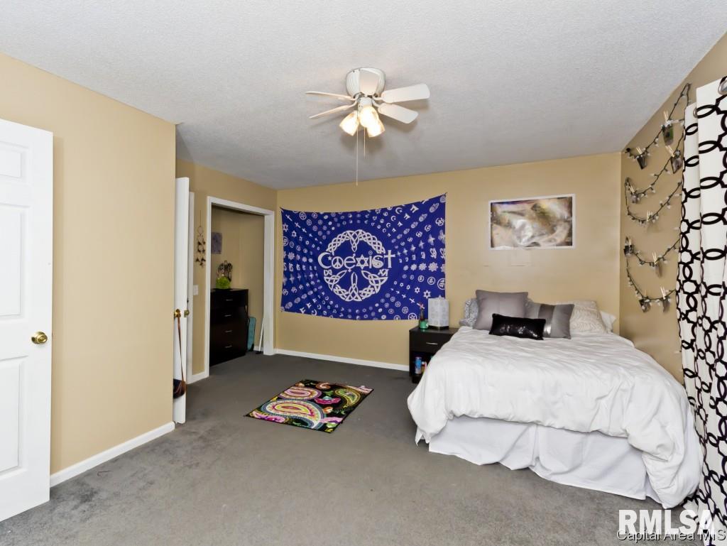 70 Axline Road Chatham, IL 62629 - Photo 25 of 33 Gallery Image 25