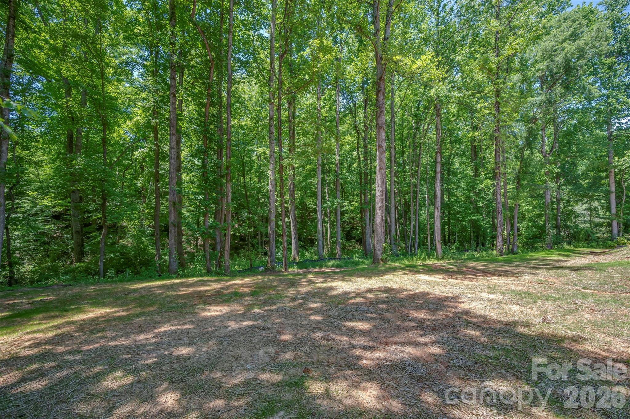 223 Pearidge Road Bostic, NC 28018 - Photo 32 of 34