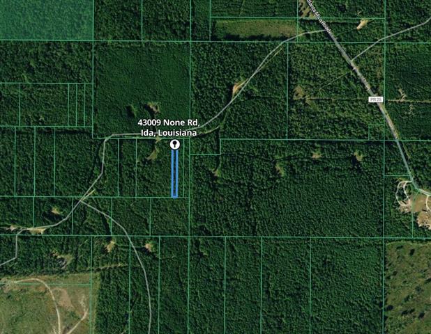 43009 None Ida, LA 71044 - Photo 3 of 4