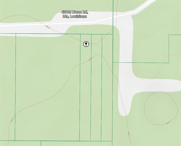 43009 None Ida, LA 71044 - Photo 4 of 4