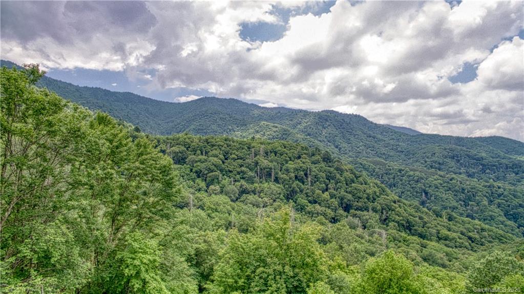 198 Boomer Ridge Maggie Valley, NC 28751 - Photo 3 of 32 Gallery Image 3