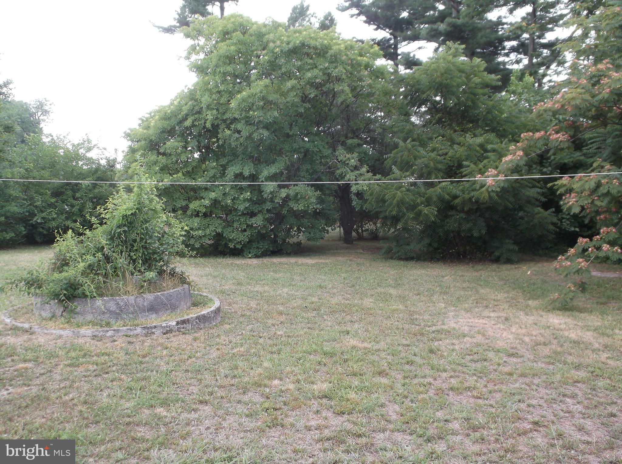 370 East Walnut Road Vineland, NJ 08360 - Photo 3 of 26 Yard