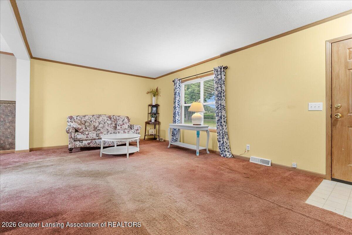 10586 Williams Road Dewitt, MI 48820 - Photo 14 of 47 14-Media Jett -18