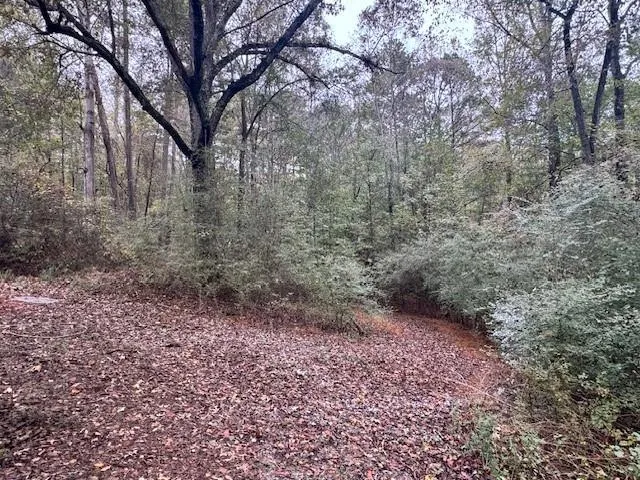 a view of a yard with a tree