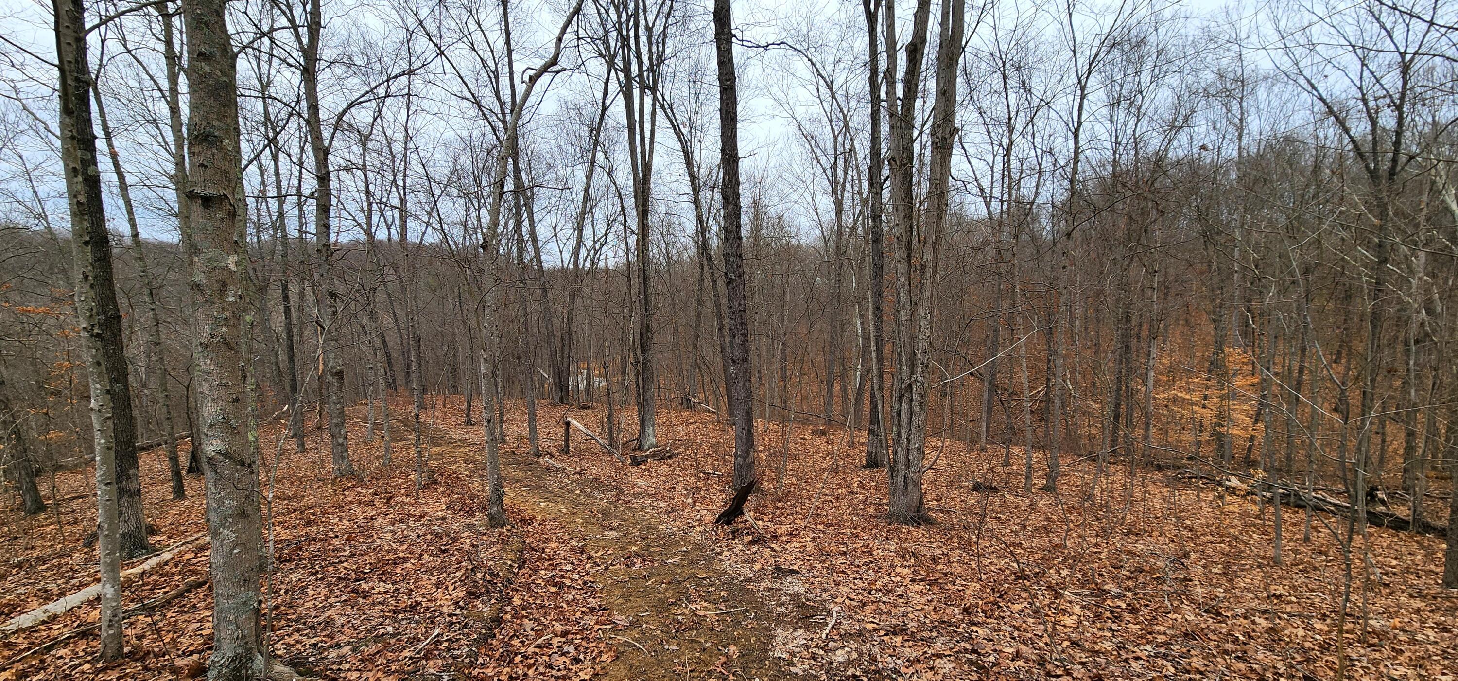 0 Edmundson Road, Unit TRACT 4 AT BIG TIMBER) Vinton, OH 45686 - Photo 63 of 67 20250307_120236