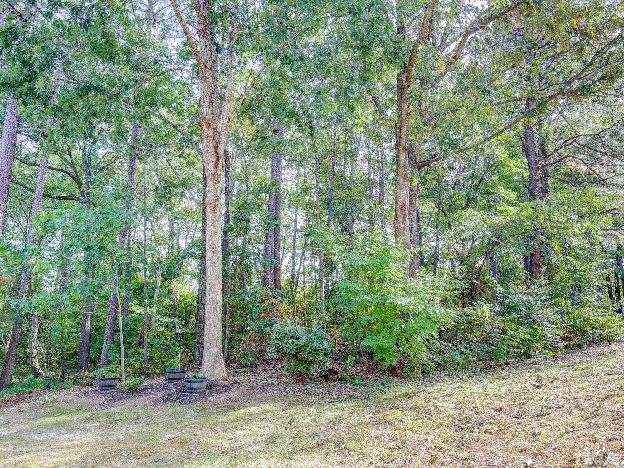 2429 Condor Court, Unit 2429 Raleigh, NC 27615 - Photo 25 of 26 a view of a forest with trees in the background