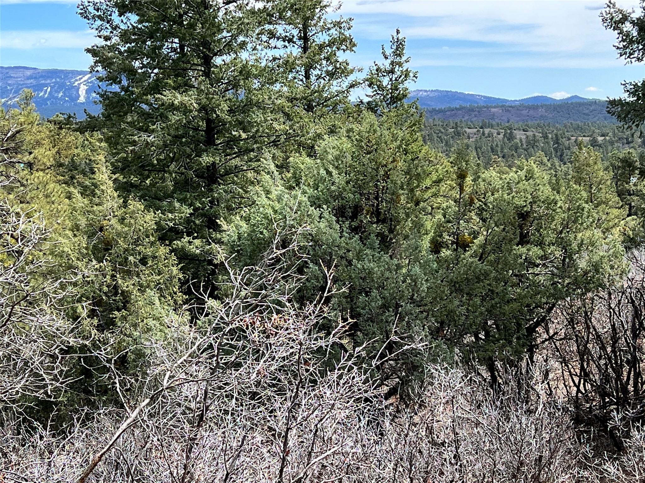 0 Rd 1781 Chama Nm 87520 Chama, NM 87520 - Photo 1 of 1