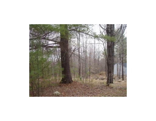 29 Swan Road New Sharon, ME 04955 - Photo 11 of 12 Land/Lot.