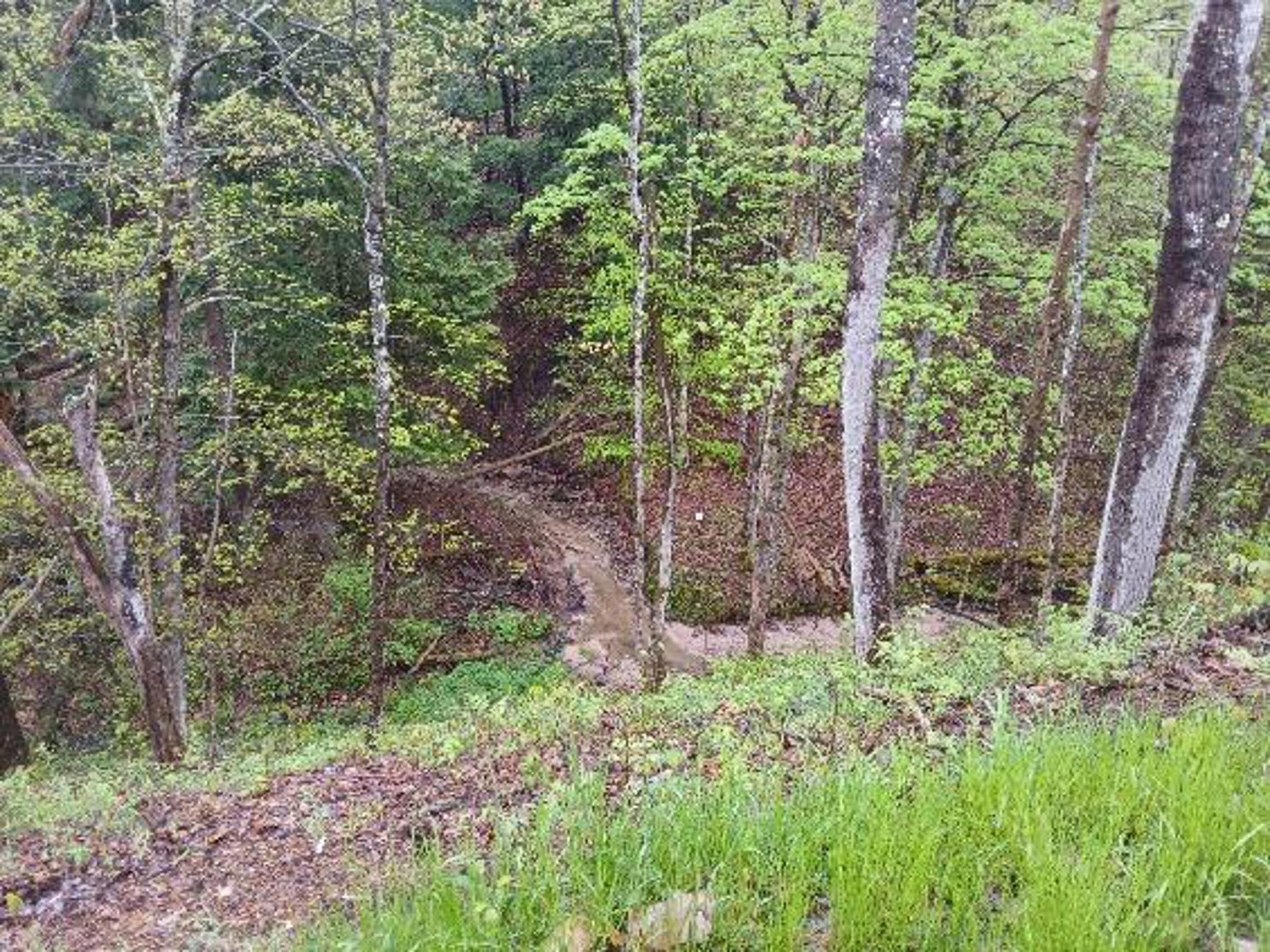 8761 West 48 Road Cadillac, MI 49601 - Photo 5 of 32 image000007