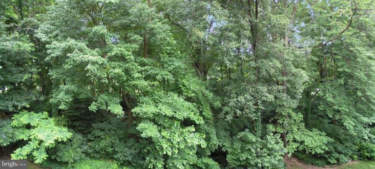 2049 Golf Course Drive Reston, VA 20191 - Photo 27 of 30 Wooded View / Acreage