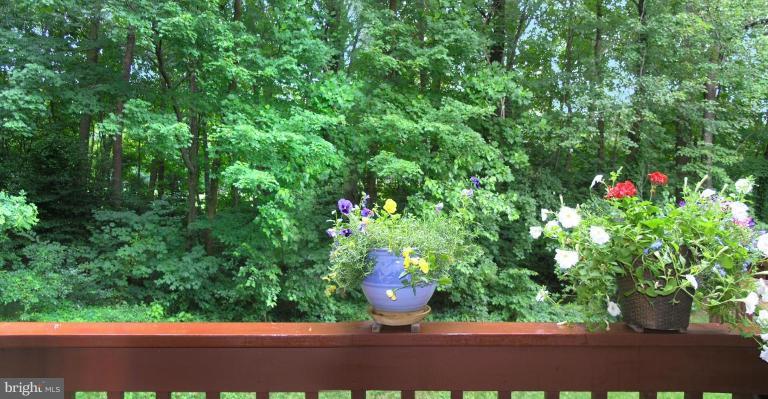 2049 Golf Course Drive Reston, VA 20191 - Photo 10 of 30 Deck - View from