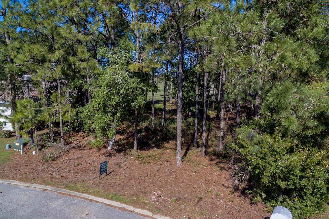 3 Azure Destin, FL 32550 - Photo 31 of 32 Lot 3 Emerald Bay Phase 1A-17