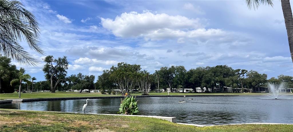 1100 South Belcher Road, Unit 304 Largo, FL 33771 - Photo 65 of 66 Gallery Image 65