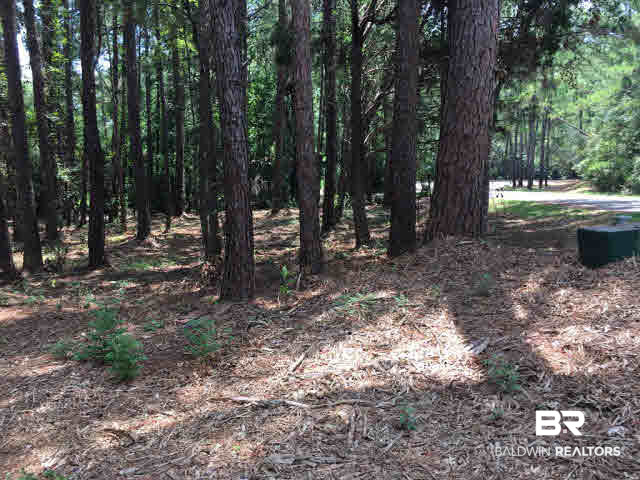 0 Clay City Road Fairhope, AL 36532 - Photo 9 of 15