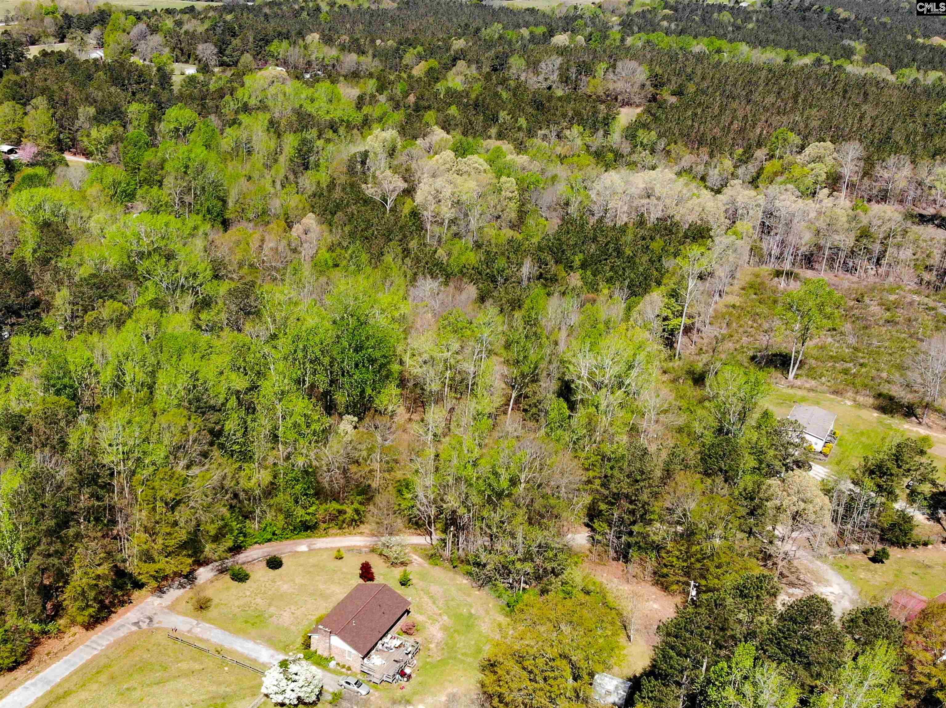 Tbd James Road Joanna, SC 29351 - Photo 4 of 82