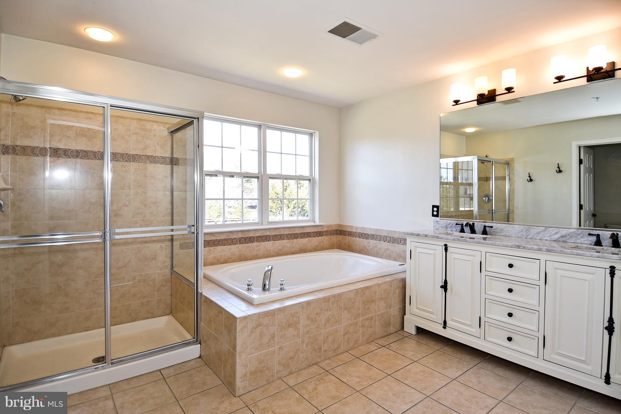 14102 Punch Street Silver Spring, MD 20906 - Photo 21 of 30 a bathroom with a tub a sink and mirrors