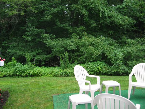 17 Country Club Road, Unit 17 Peabody, MA 01960 - Photo 8 of 8 Gallery Image 8