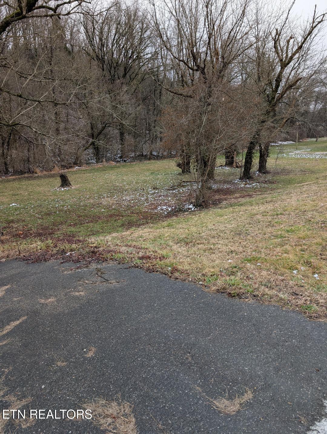 0 Rutledge Pike Corryton, TN 37721 - Photo 6 of 6 Rutledge Pk Pix 2