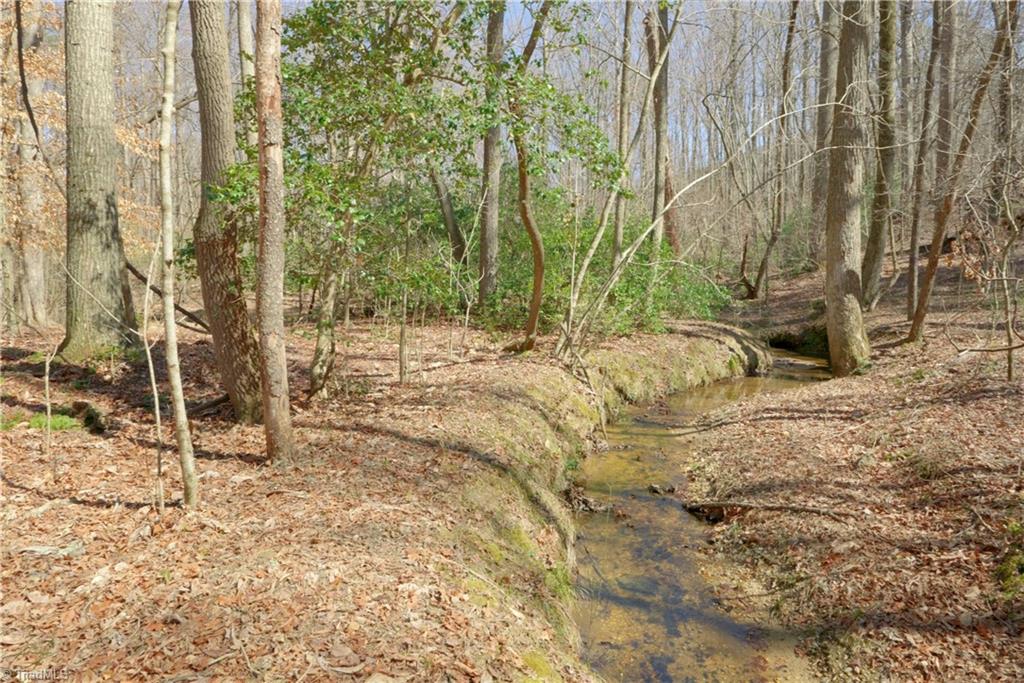 6 Old Mill Road Pinnacle, NC 27043 - Photo 8 of 29