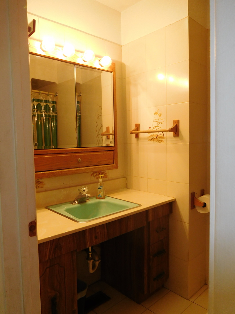 1059 South Finley Road Lombard, IL 60148 - Photo 7 of 14 a bathroom with a sink and a mirror