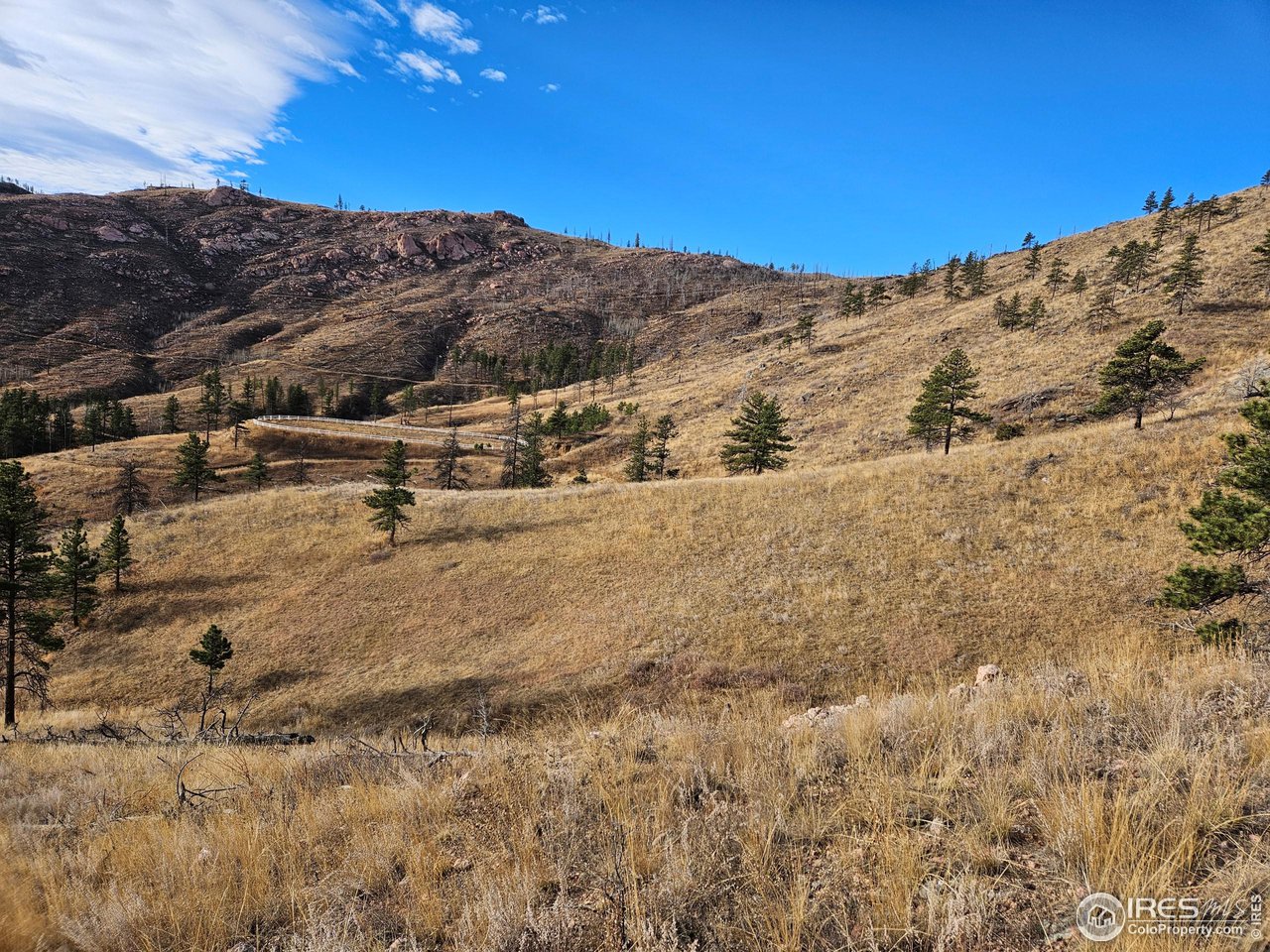 1013 Fire Rte 15 Bellvue, CO 80512 - Photo 2 of 13 a view of mountain view with mountains in the background