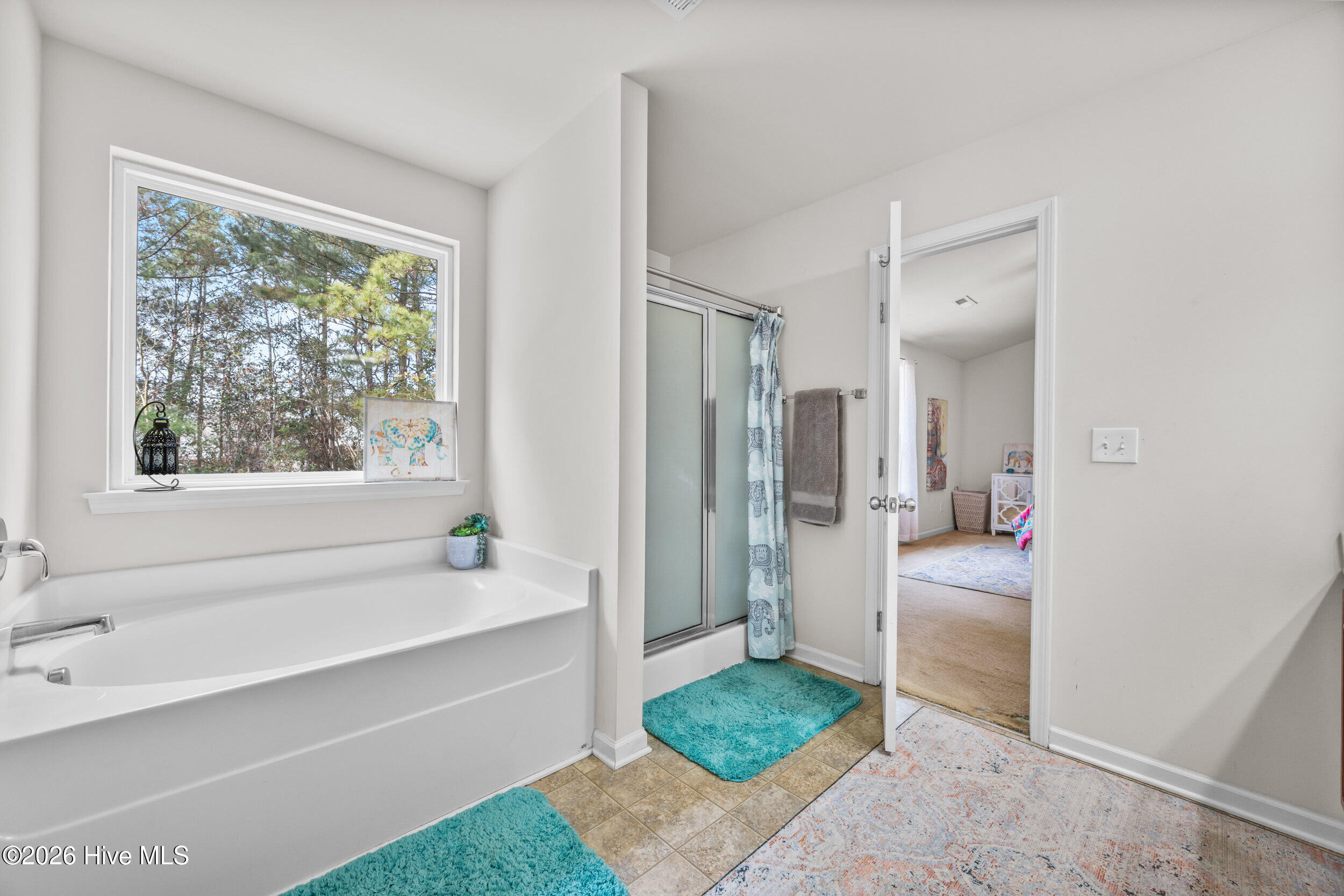 215 Chalet Road Holly Ridge, NC 28445 - Photo 37 of 45 44_bathroom