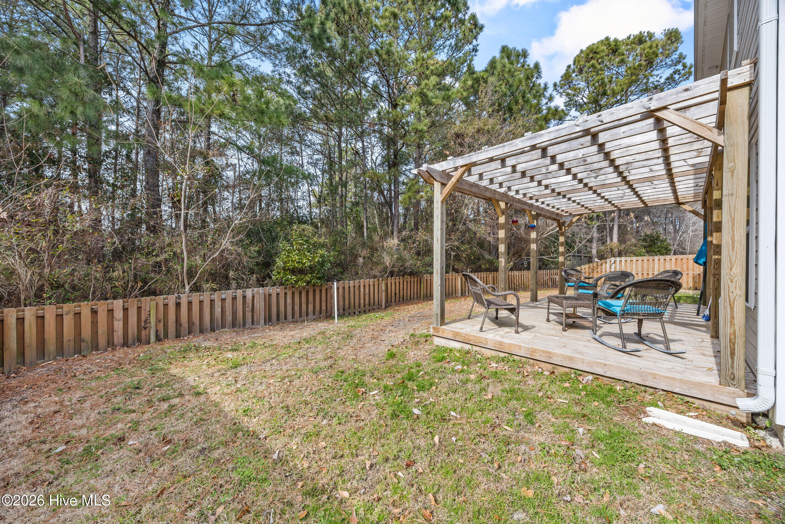 215 Chalet Road Holly Ridge, NC 28445 - Photo 44 of 45 51_backyard