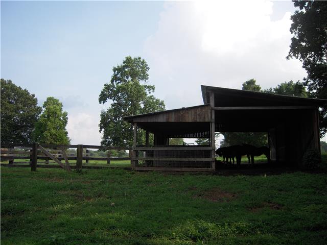 0 Williams Road Westmoreland, TN 37186 - Photo 12 of 19 Gallery Image 12